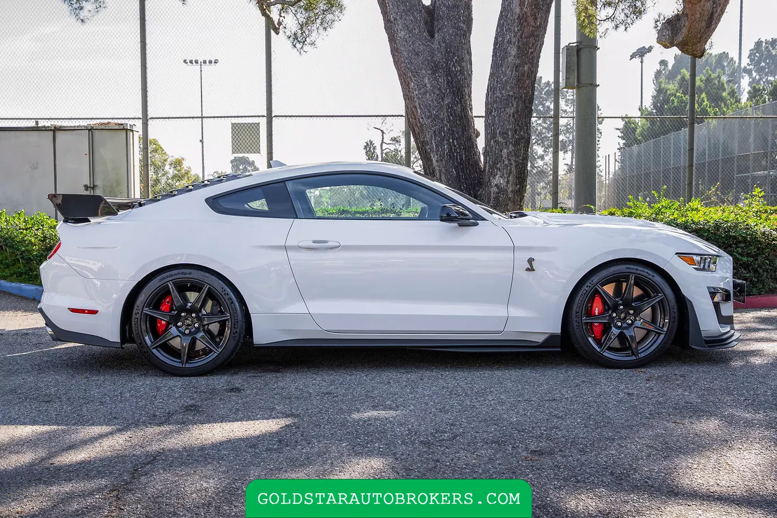 2022 Ford Mustang Shelby GT500