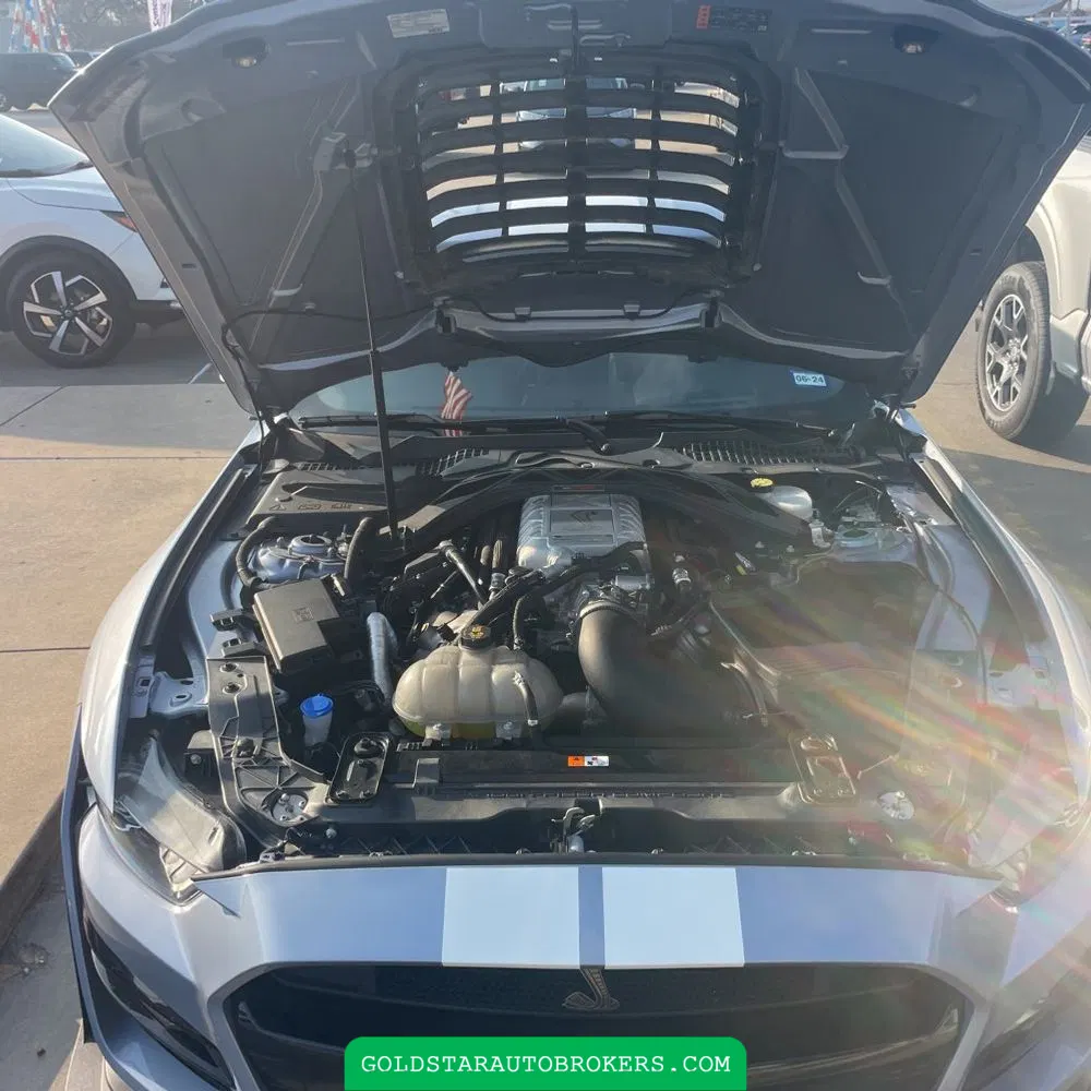2022 Ford Mustang Shelby GT500