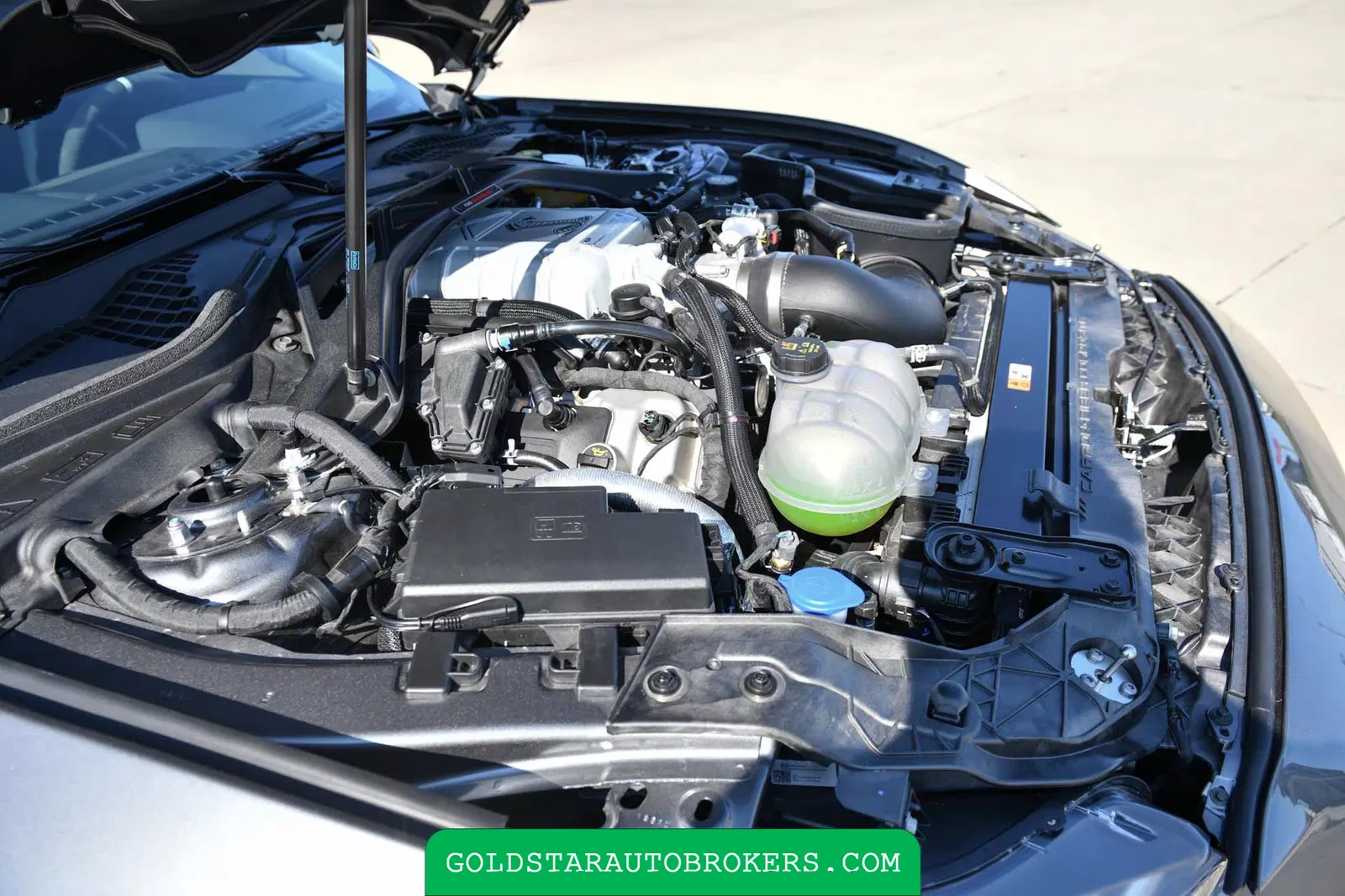 2022 Ford Mustang GT500