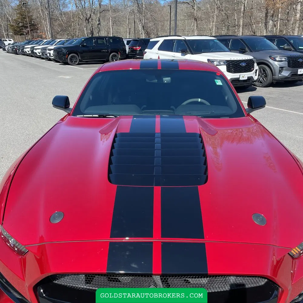 2022 Ford Mustang Shelby GT500