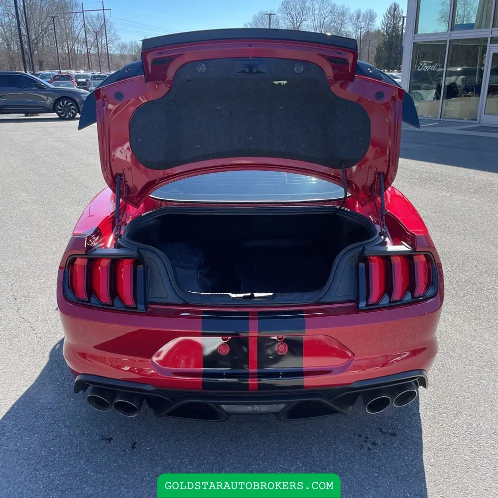 2022 Ford Mustang Shelby GT500