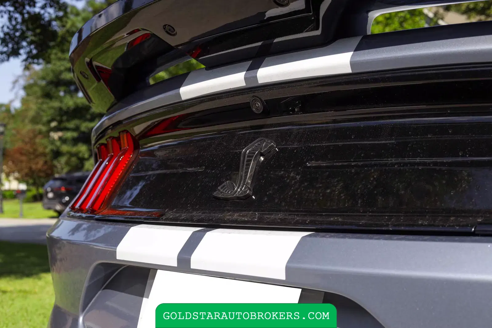 2022 Ford Mustang Shelby GT500 Heritage Edition