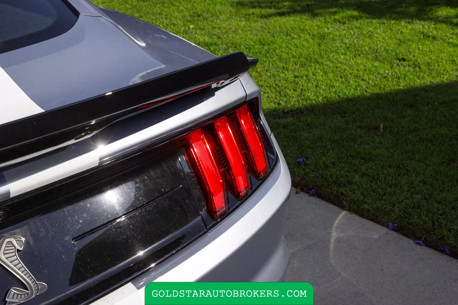 2022 Ford Mustang Shelby GT500 Heritage Edition