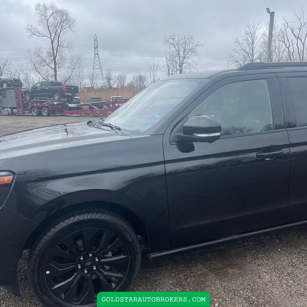 2025 Ford Expedition Max Platinum