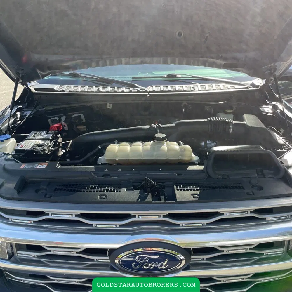 2022 Ford Expedition MAX Platinum