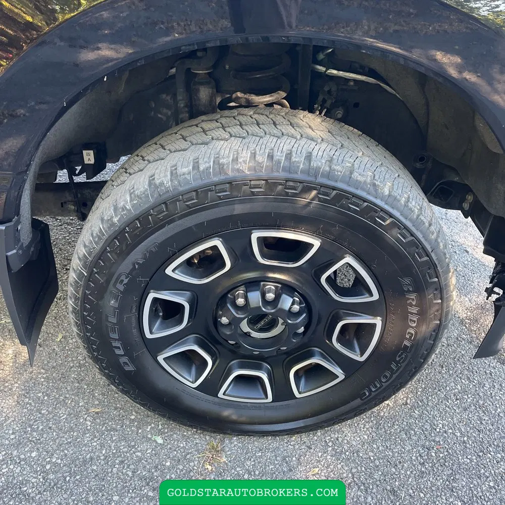 2023 Ford F250 S/D Platinum