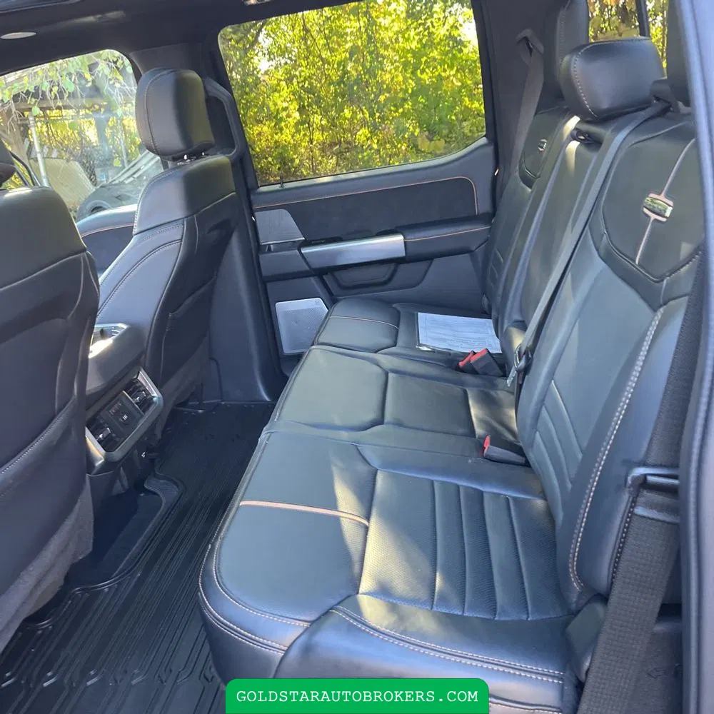 2023 Ford F250 S/D Platinum