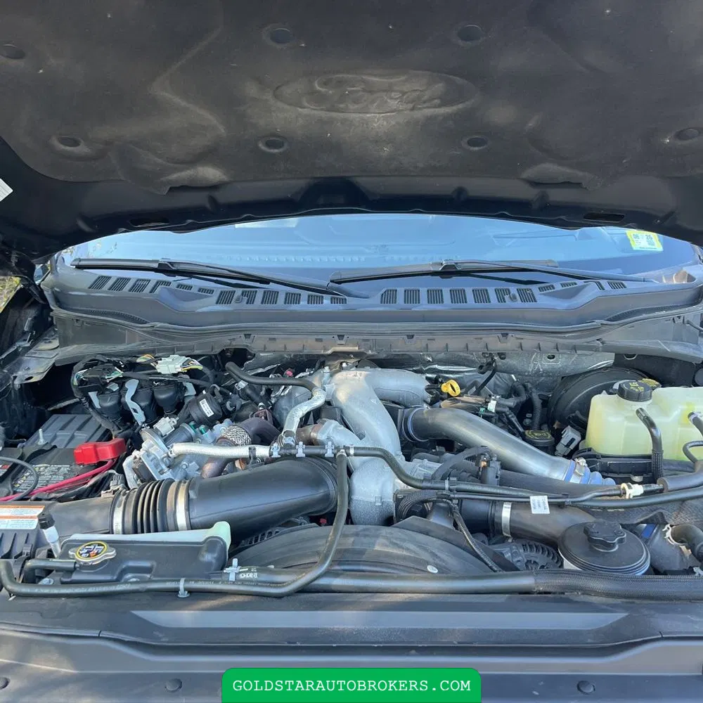 2023 Ford F250 S/D Platinum
