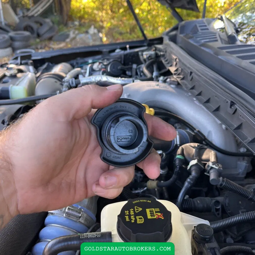 2023 Ford F250 S/D Platinum