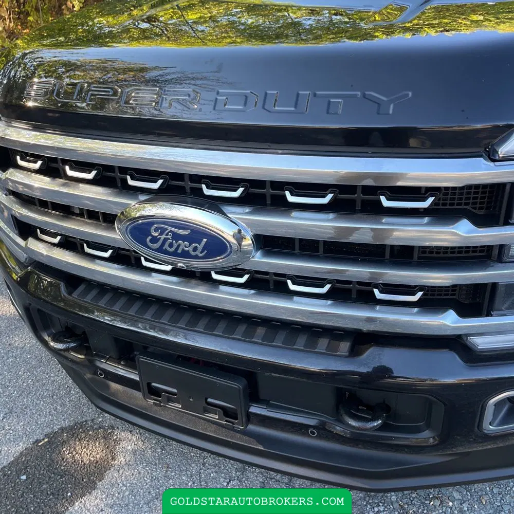 2023 Ford F250 S/D Platinum