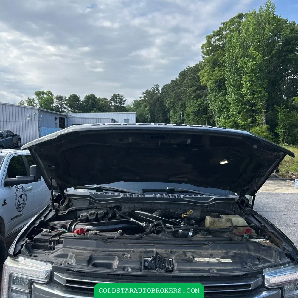 2019 Ford F-250 Platinum