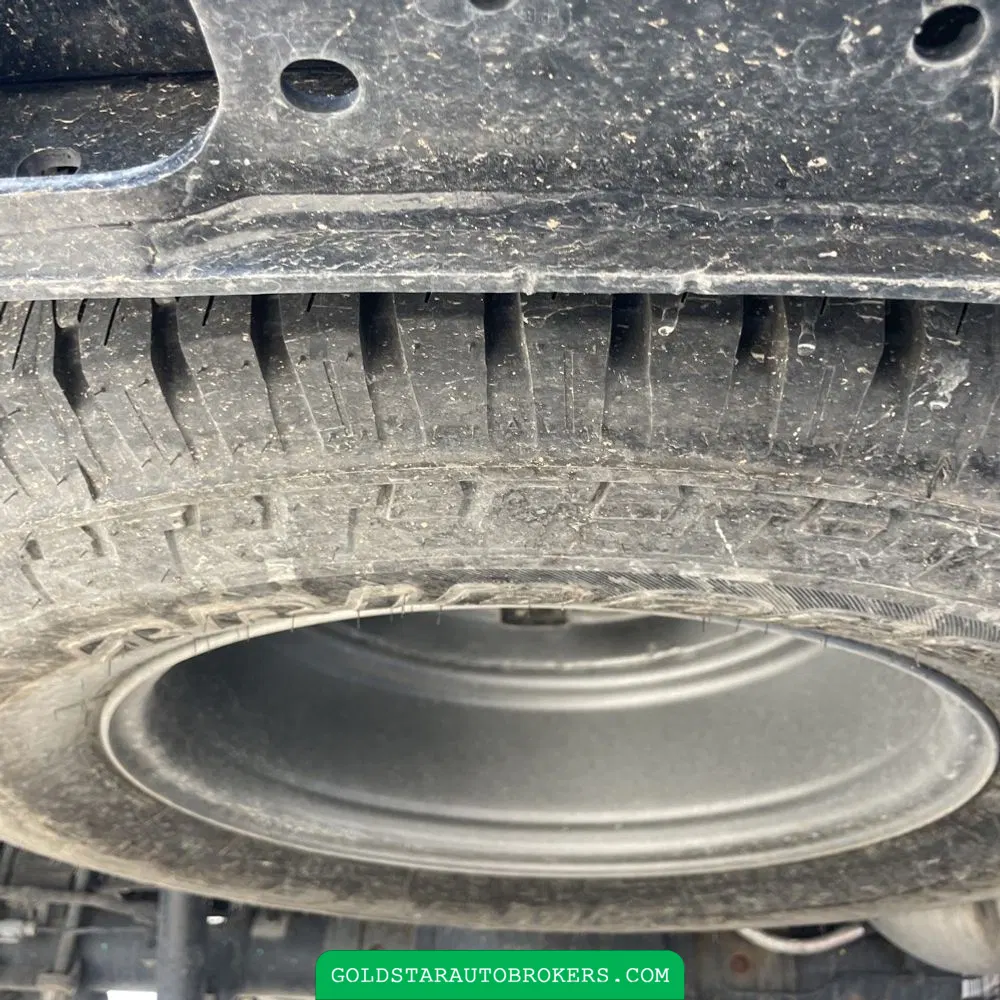 2023 Ford F250 S/D Platinum