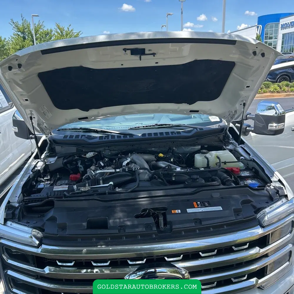 2024 Ford F250 S/D Platinum