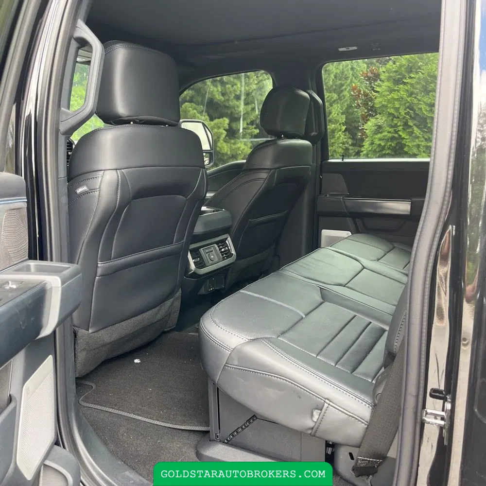 2025 Ford F250 S/D Platinum