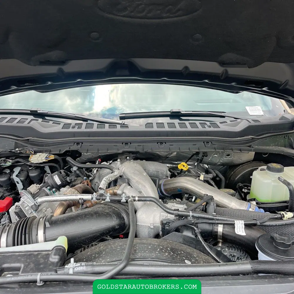 2025 Ford F250 S/D Platinum