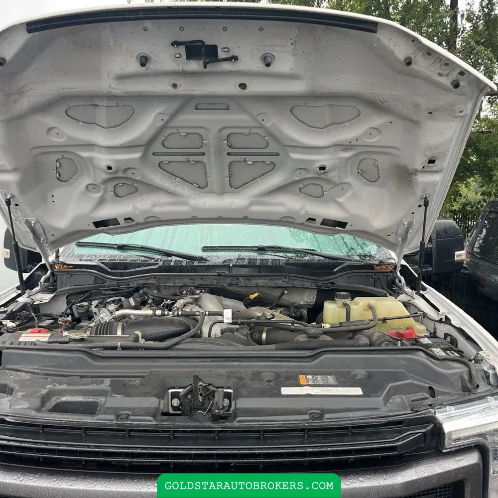 2022 Ford F350 S/D Platinum