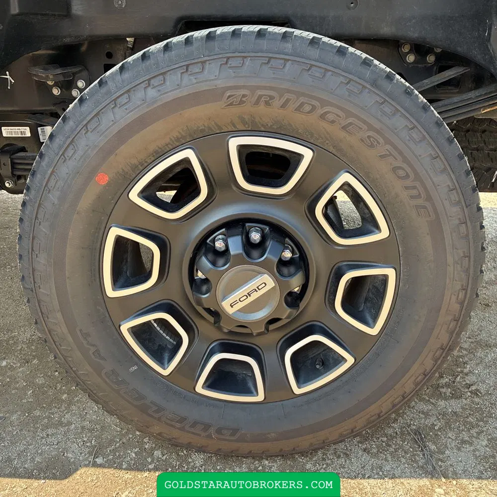 2024 Ford F350 S/D Platinum