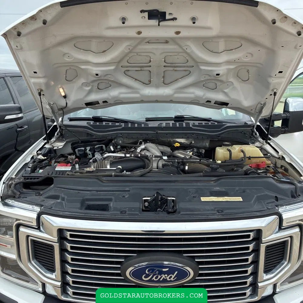 2020 Ford F350 S/D Platinum