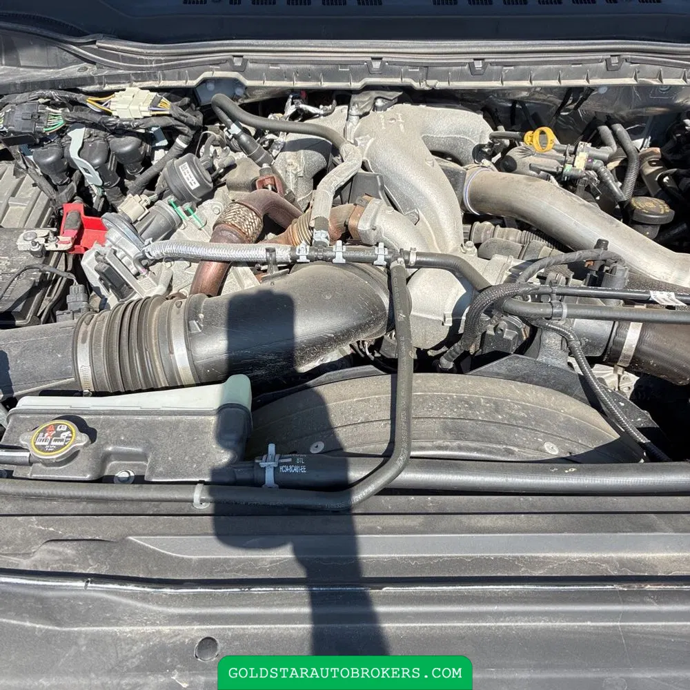 2023 Ford F350 S/D XLT