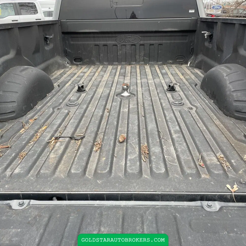 2019 Ford F-450 Super Duty Lariat