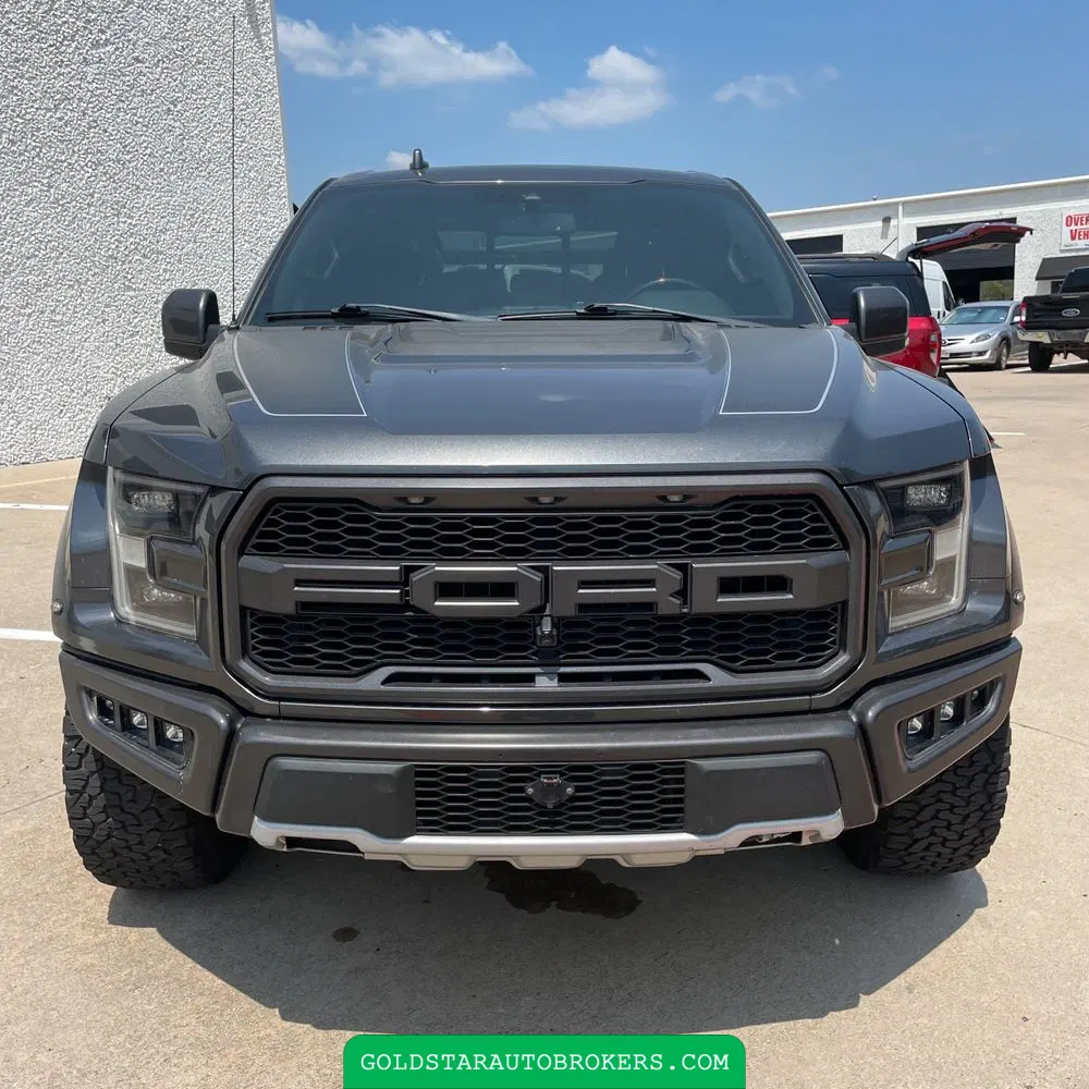 2019 Ford F-150 Raptor