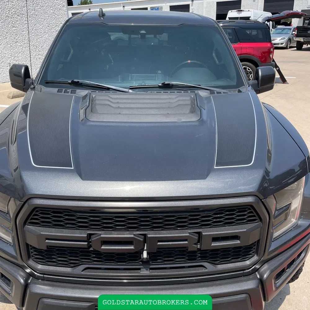 2019 Ford F-150 Raptor