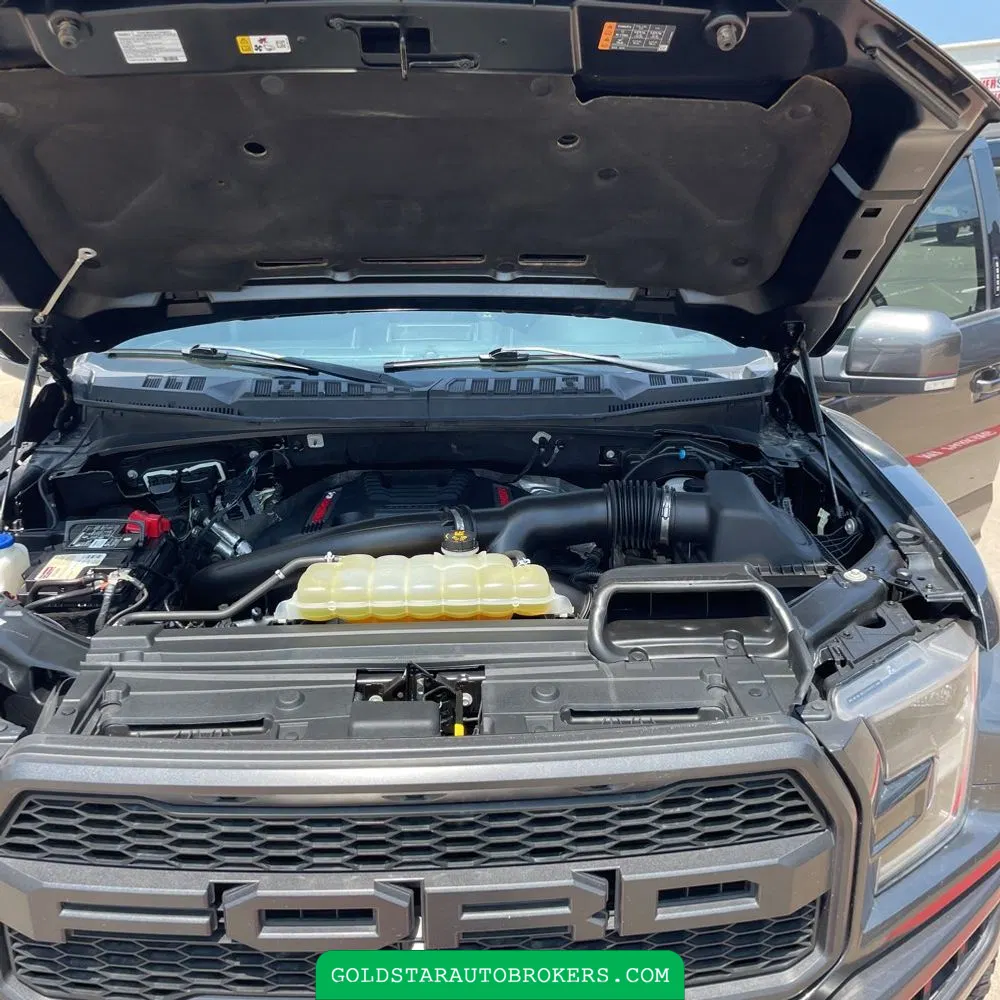 2019 Ford F-150 Raptor