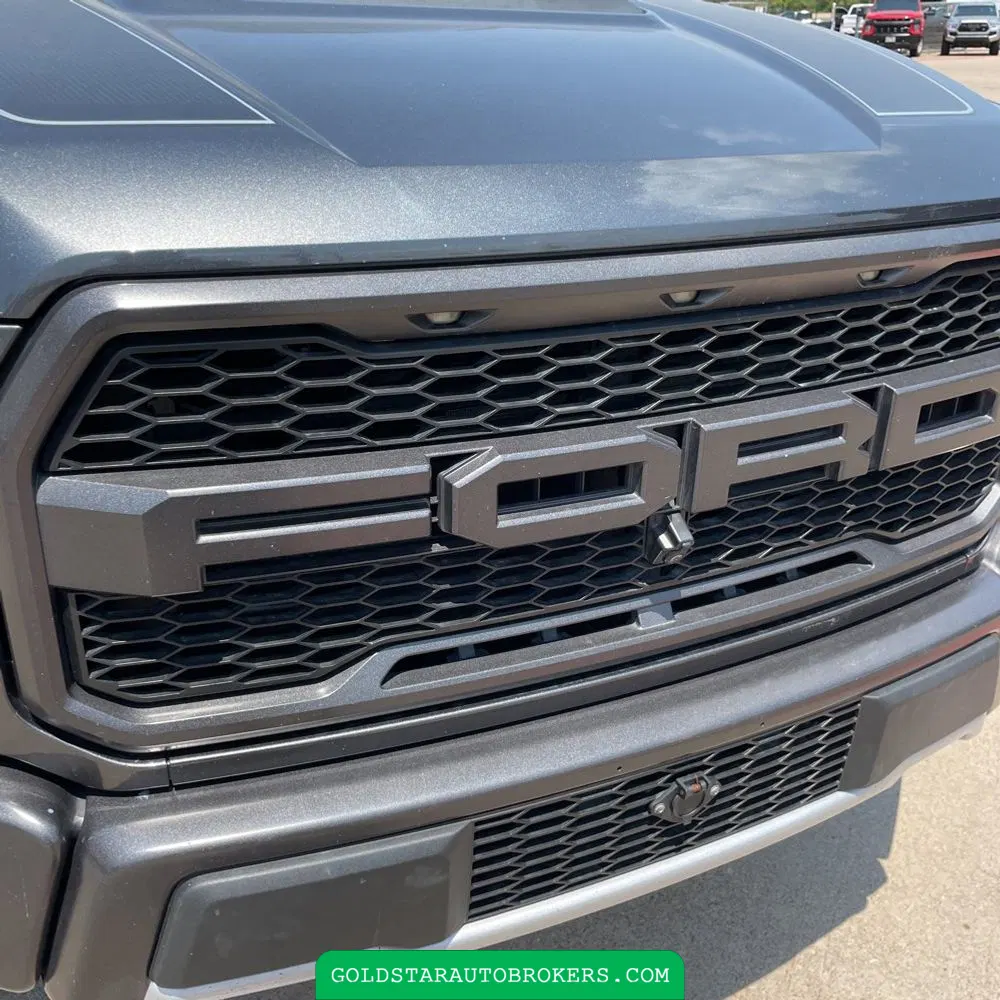 2019 Ford F-150 Raptor