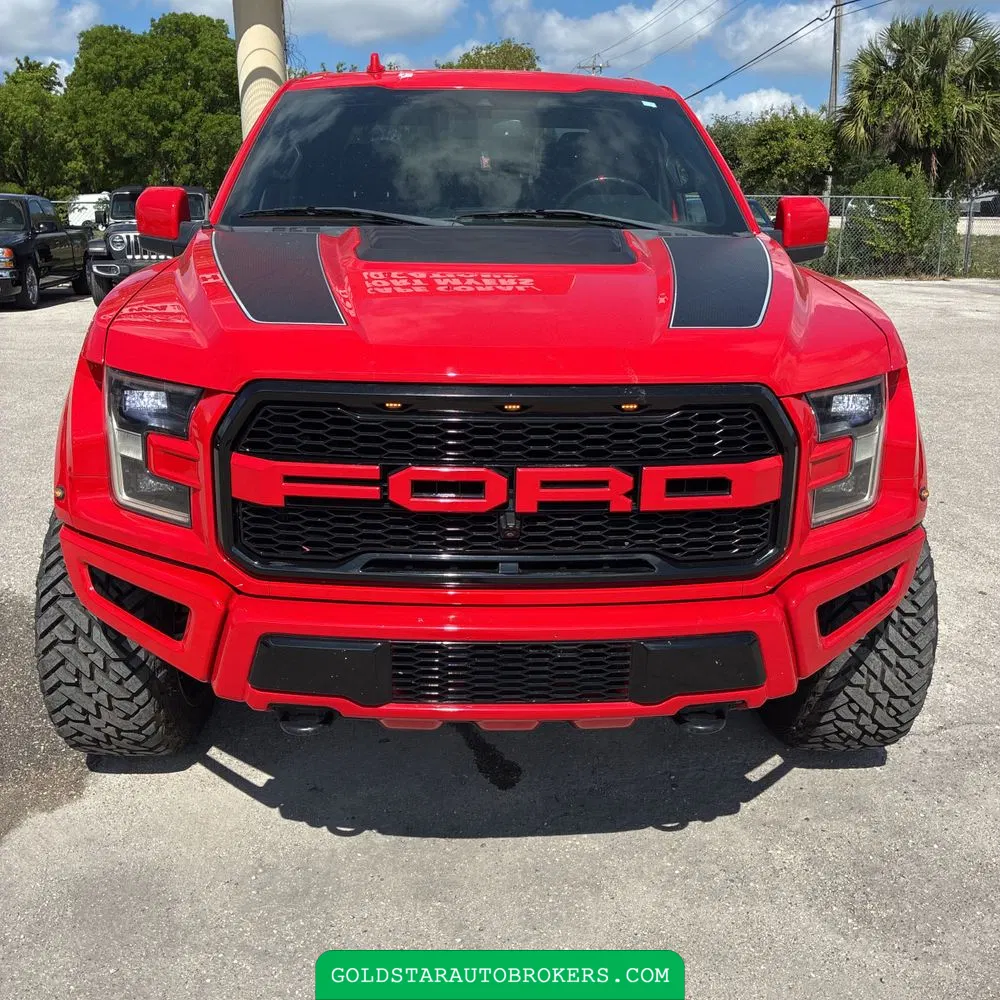 2019 Ford F-150 Raptor