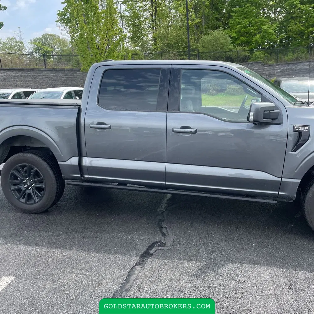 2025 Ford F-150 Platinum