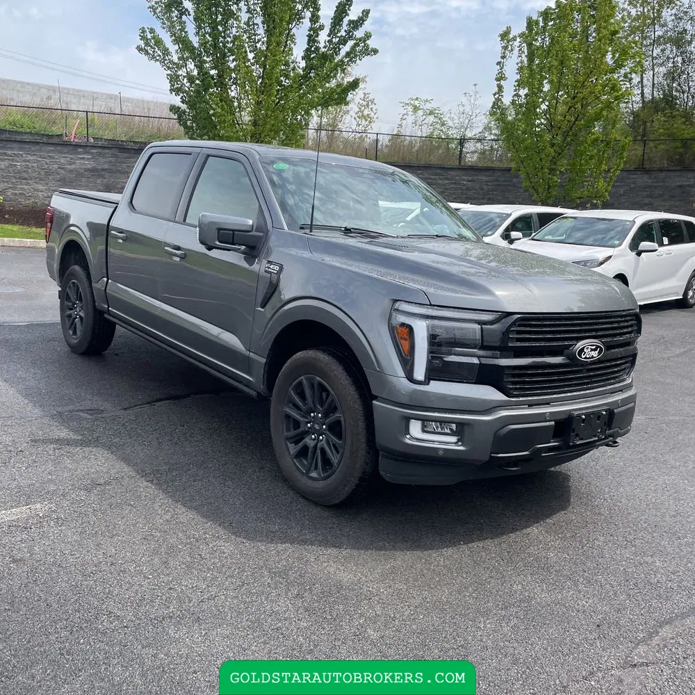 2025 Ford F-150 Platinum
