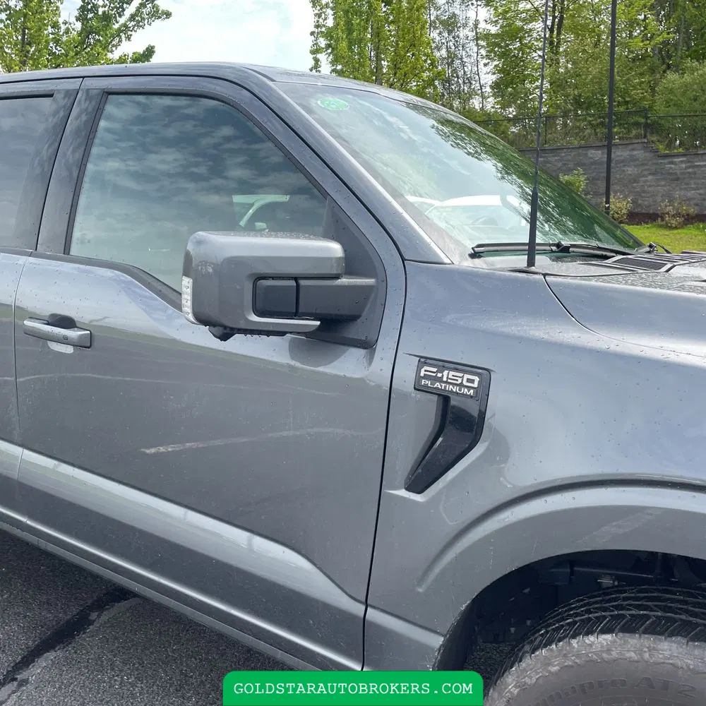 2025 Ford F-150 Platinum