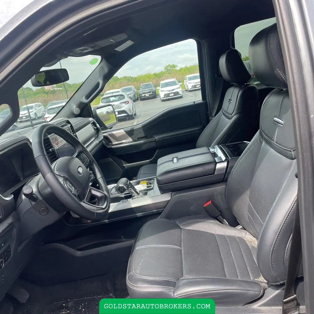 2025 Ford F-150 Platinum