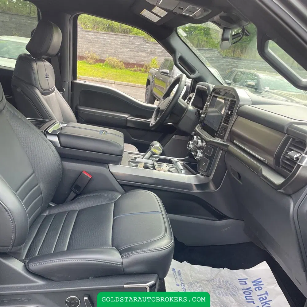 2025 Ford F-150 Platinum