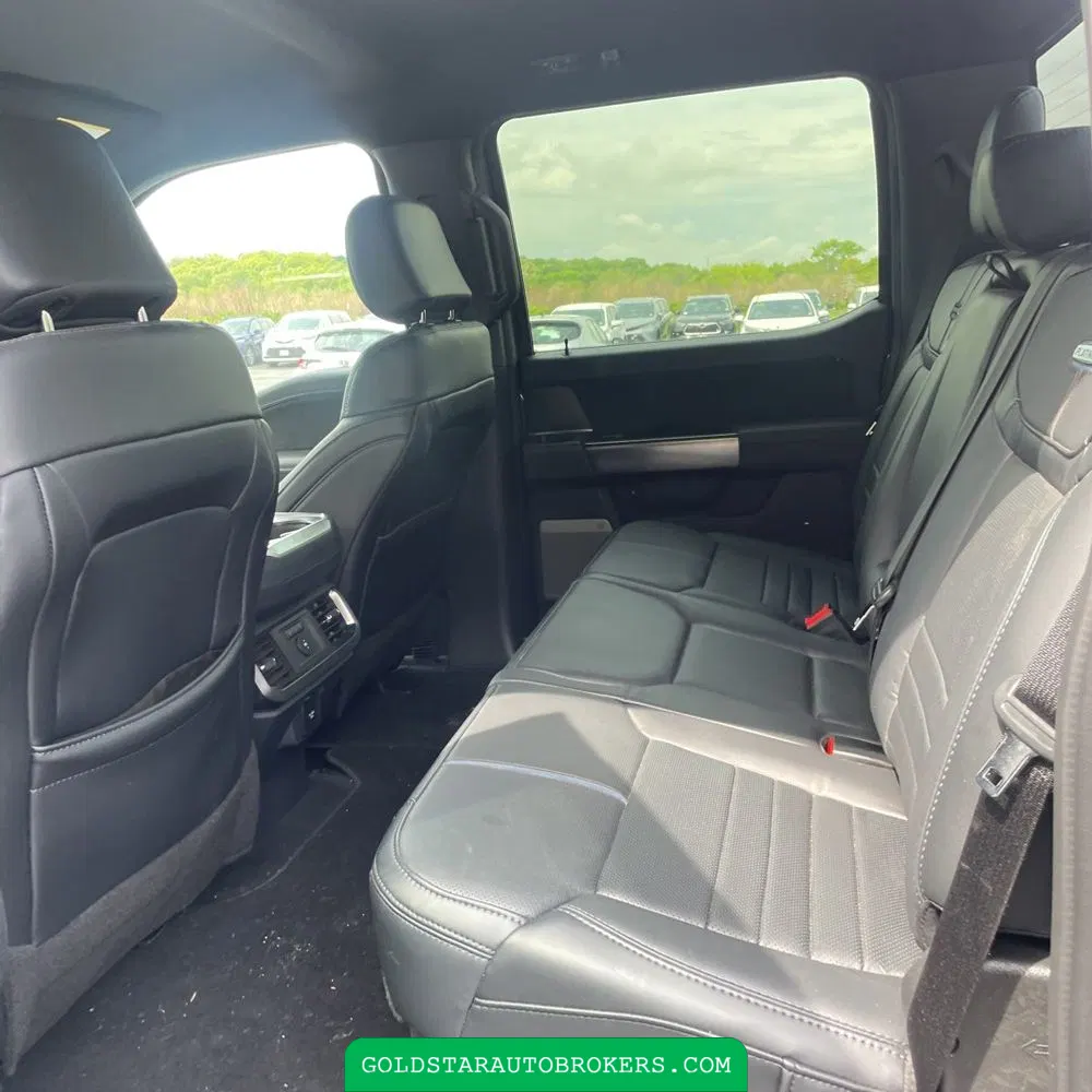 2025 Ford F-150 Platinum
