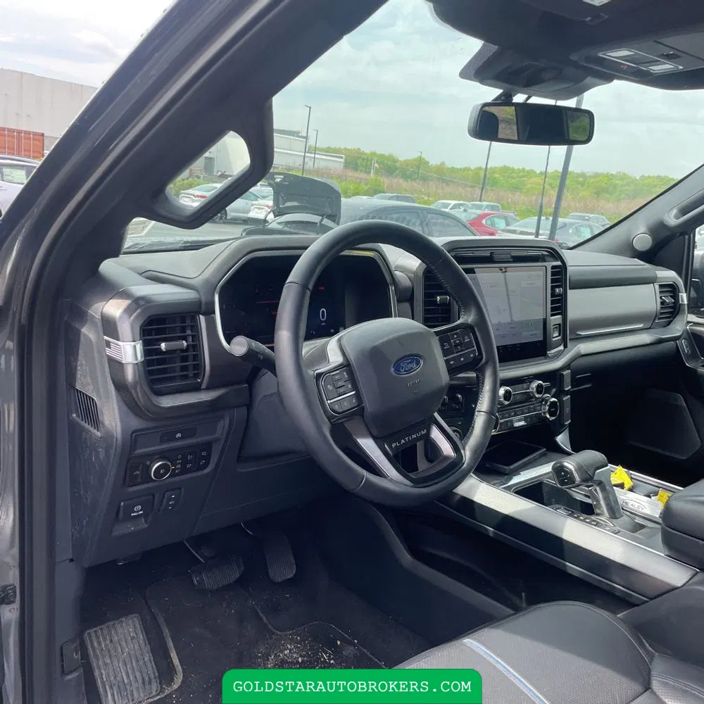 2025 Ford F-150 Platinum