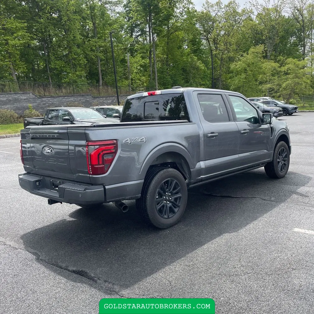 2025 Ford F-150 Platinum