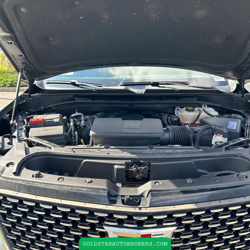 2021 Cadillac Escalade ESV Premium Luxury