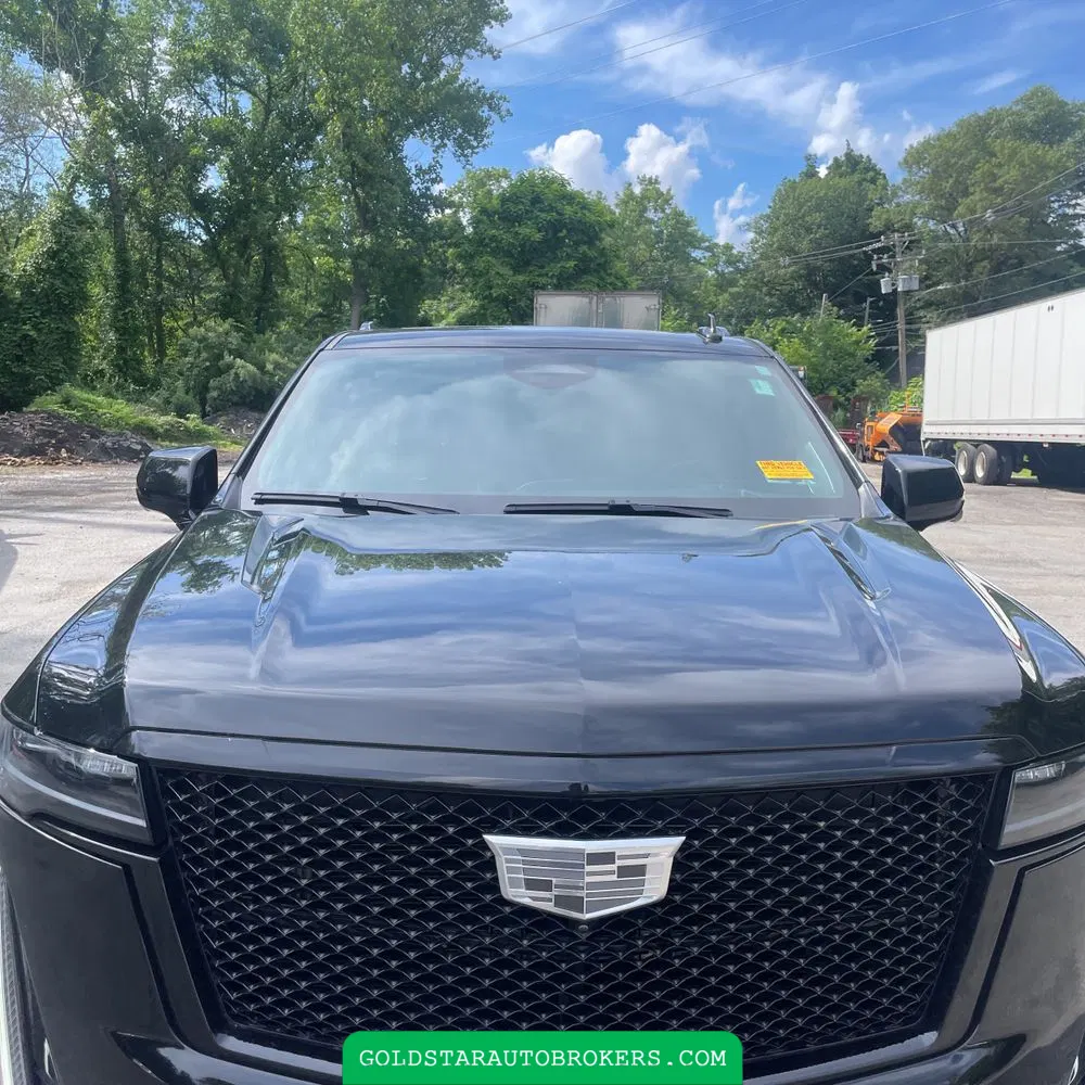 2022 Cadillac Escalade ESV Sport Platinum