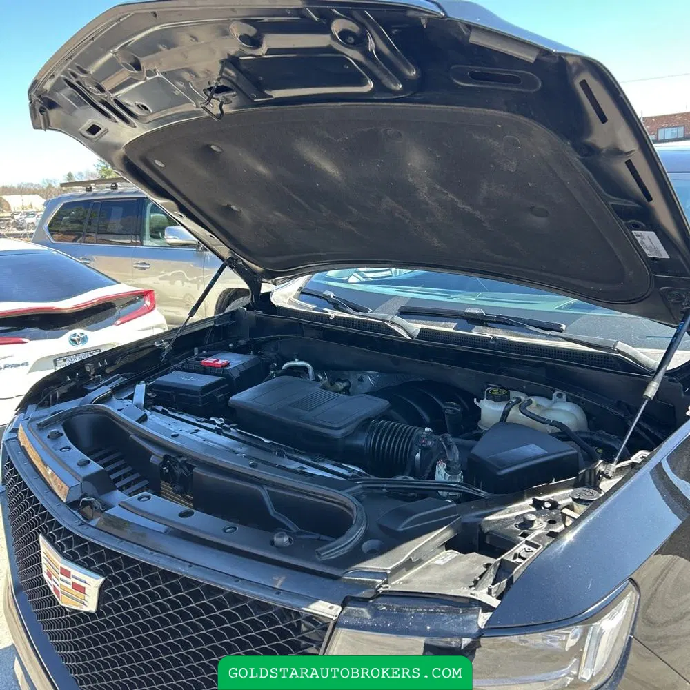2023 Cadillac Escalade ESV Sport Platinum