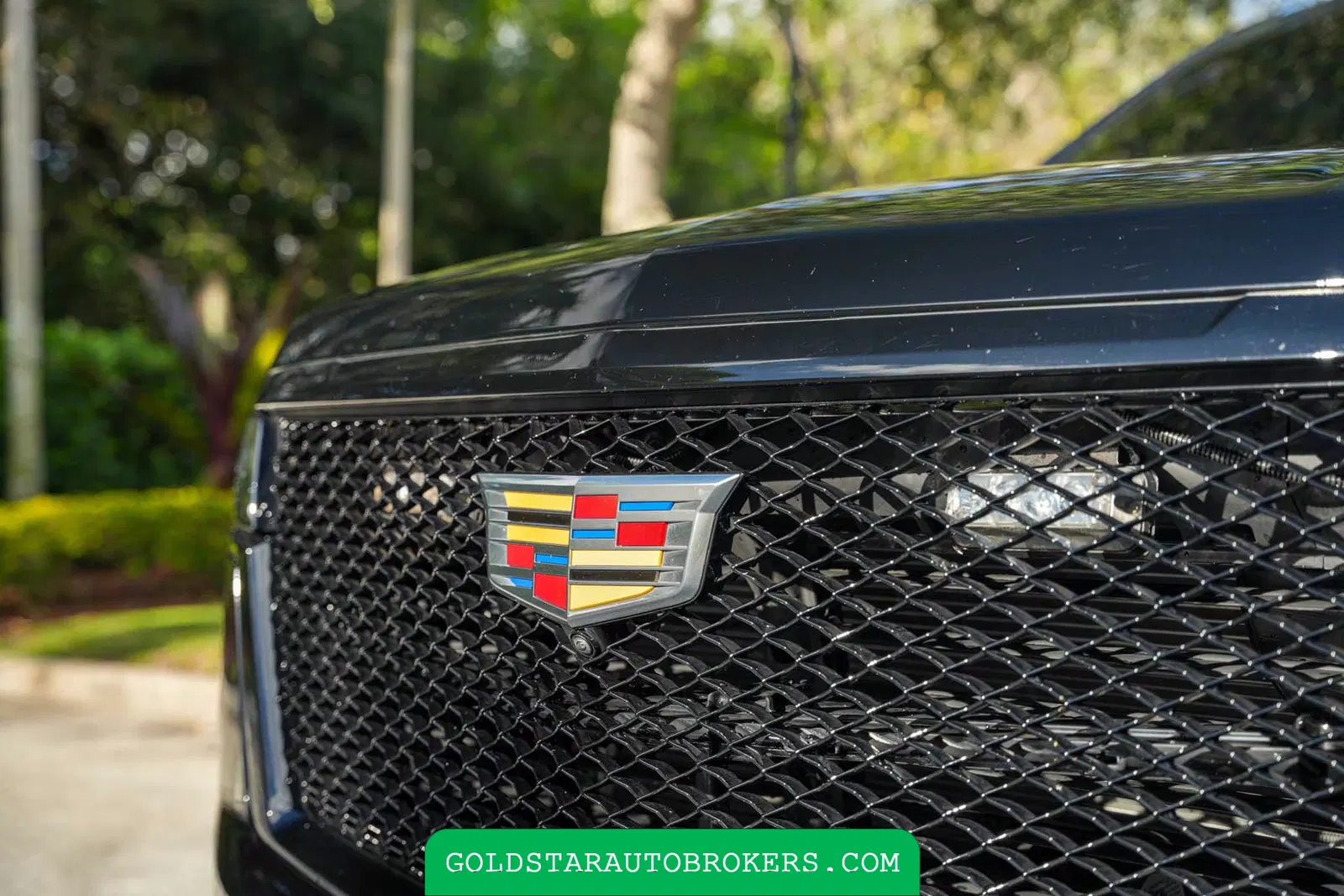 2023 Cadillac Escalade Bullet Proof