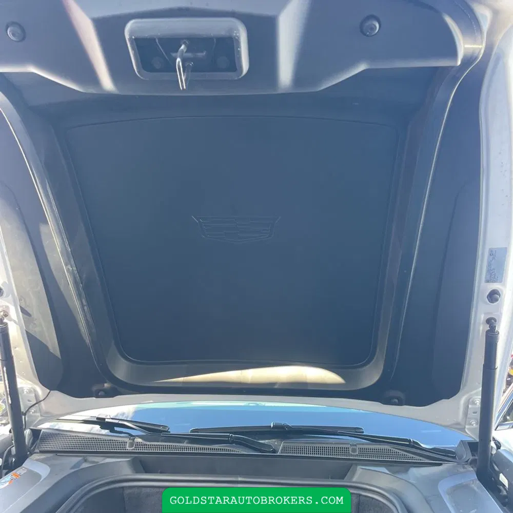 2025 Cadillac Escalade IQ Sport 1