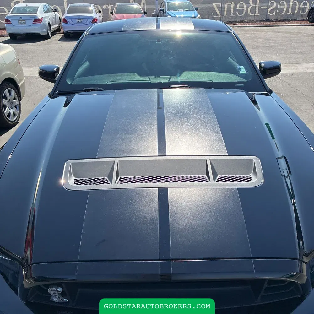 2013 Ford Shelby GT500 Base