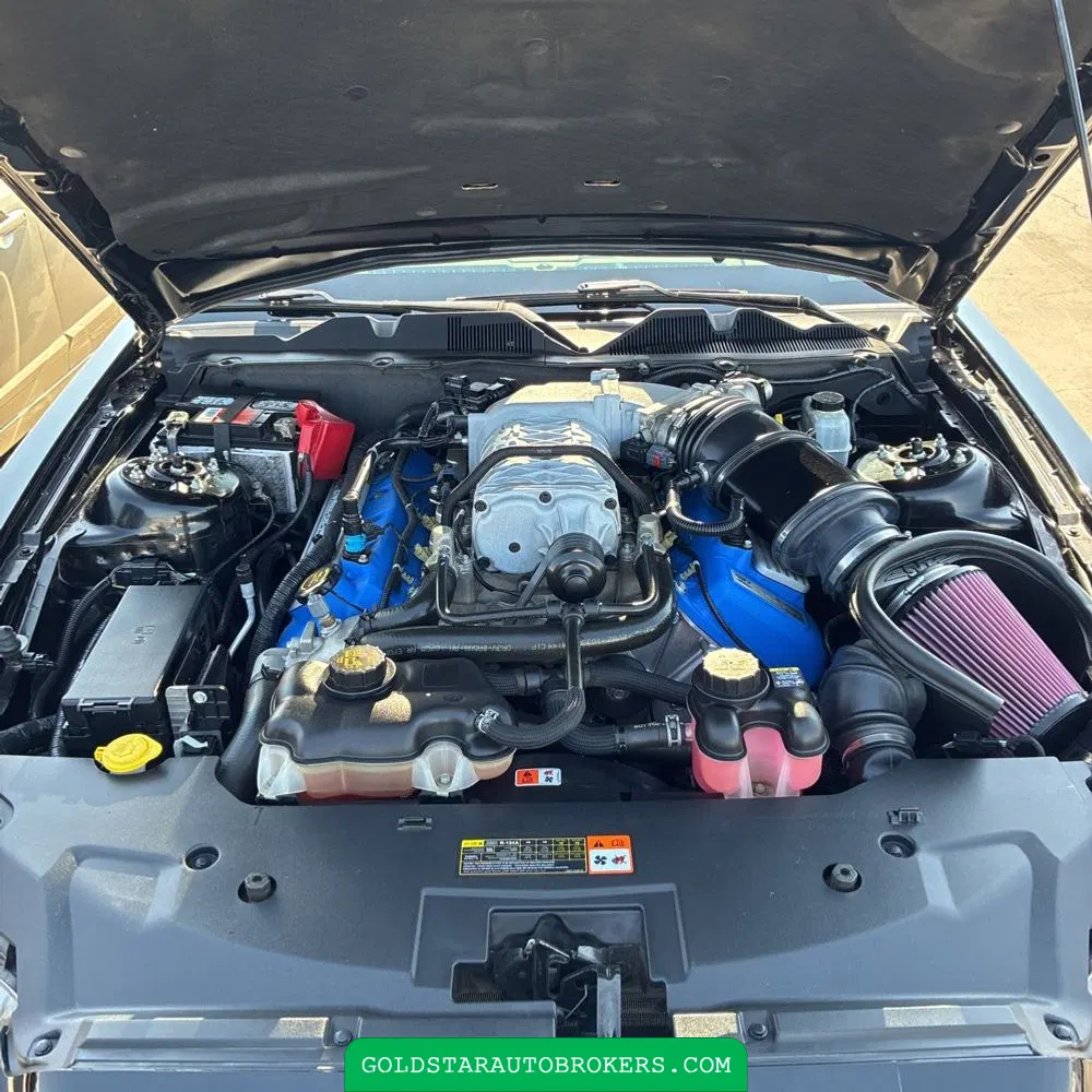 2013 Ford Shelby GT500 Base