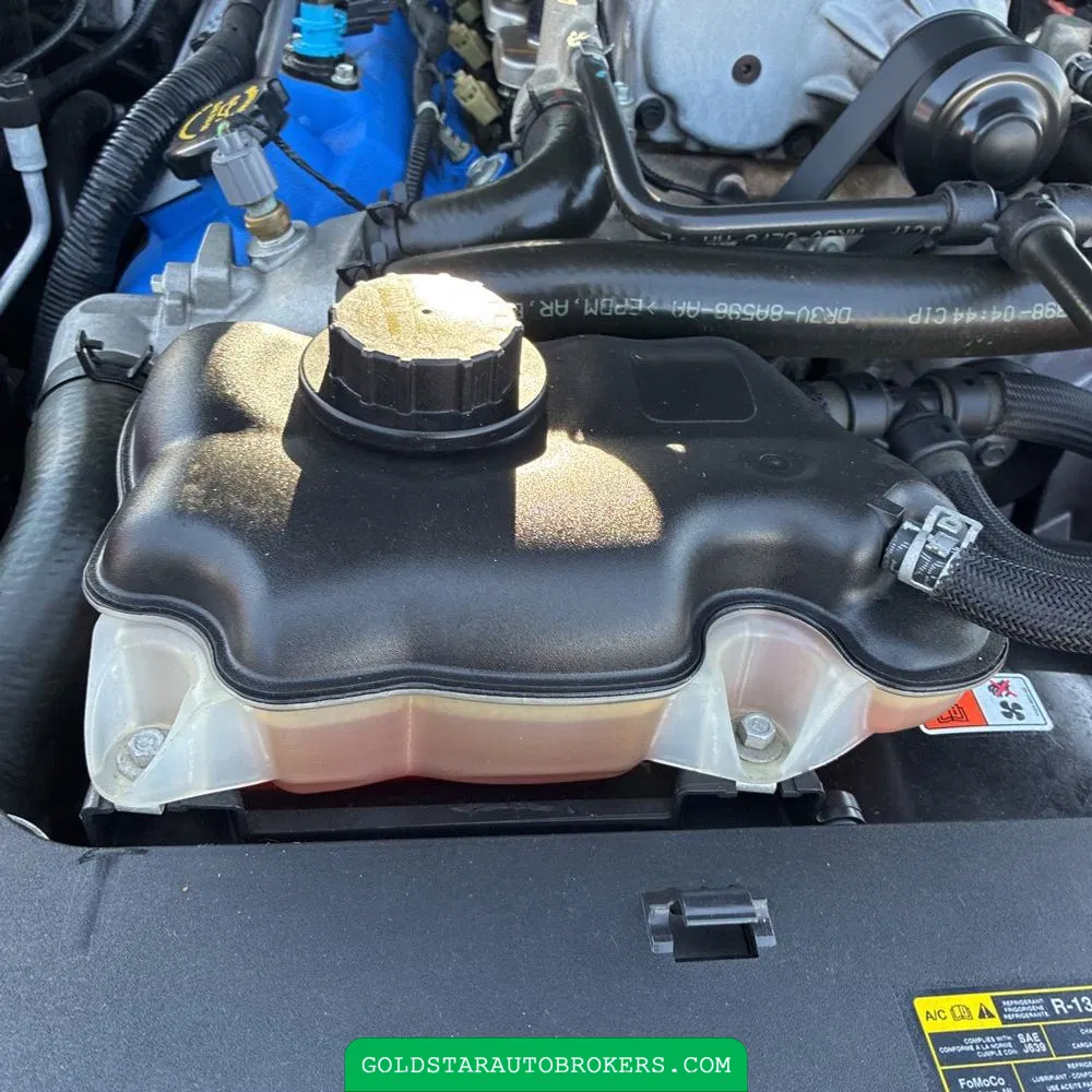 2013 Ford Shelby GT500 Base