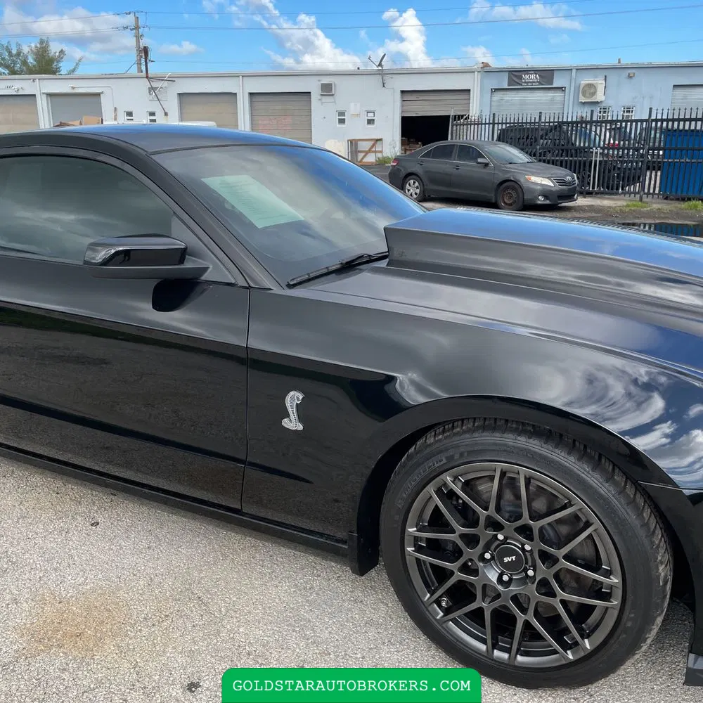 2013 Ford Shelby GT500 Base