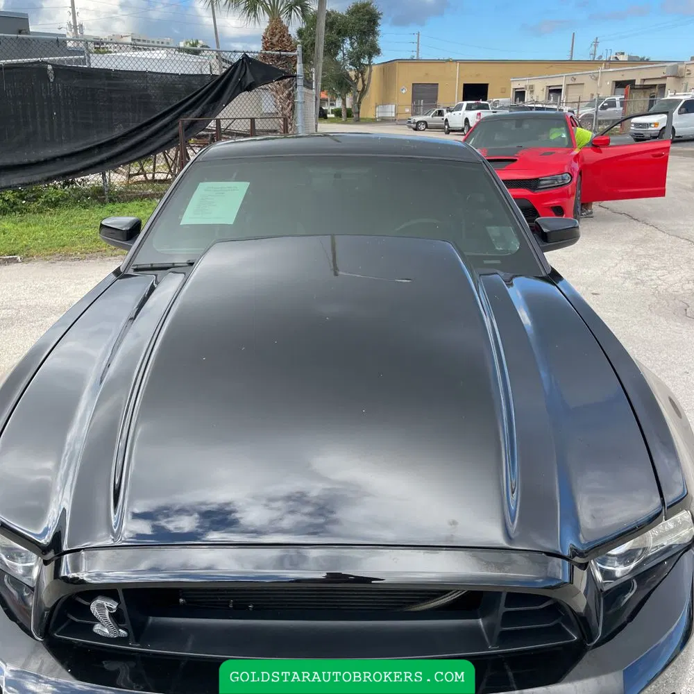 2013 Ford Shelby GT500 Base