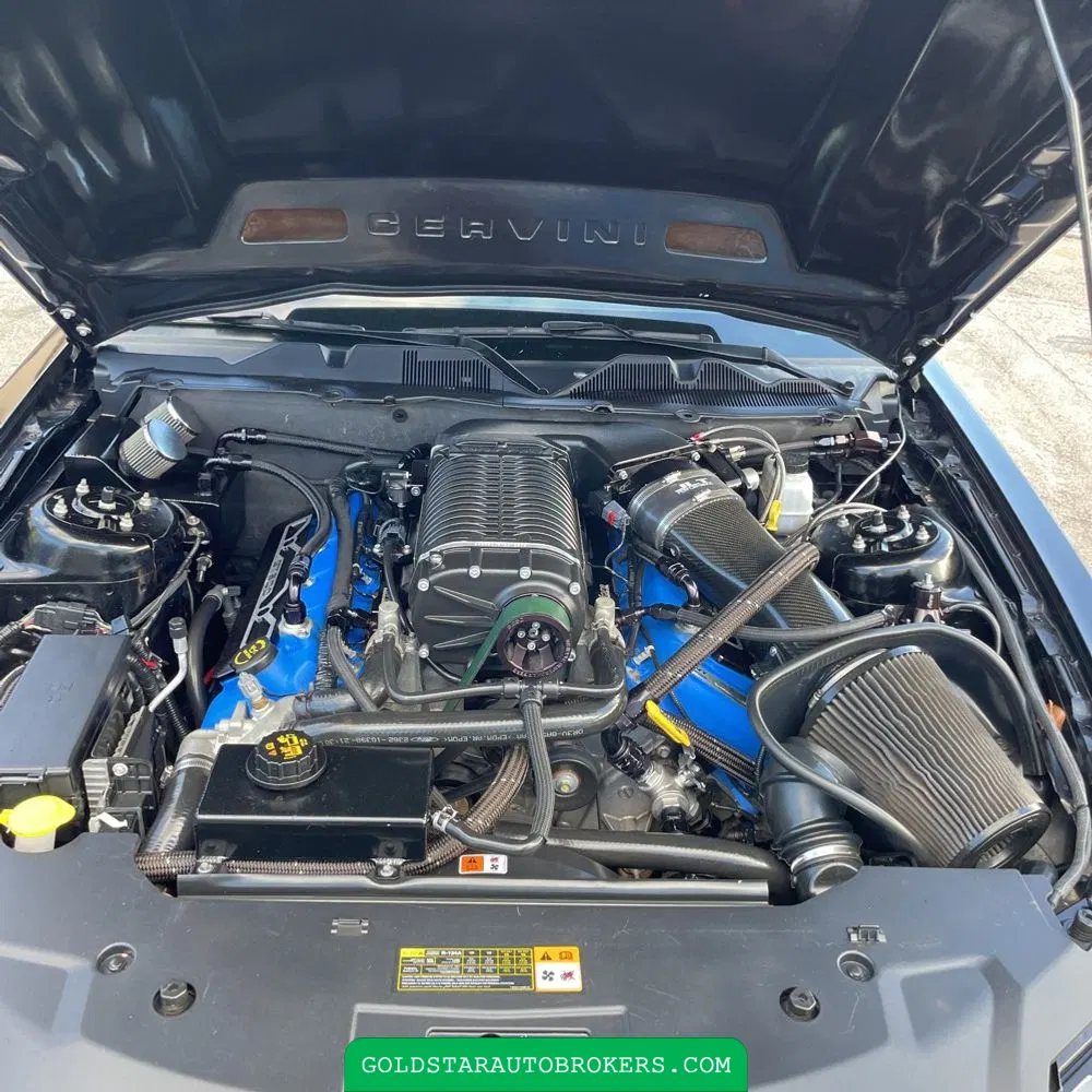 2013 Ford Shelby GT500 Base