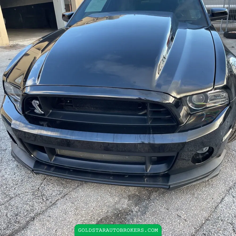 2013 Ford Shelby GT500 Base