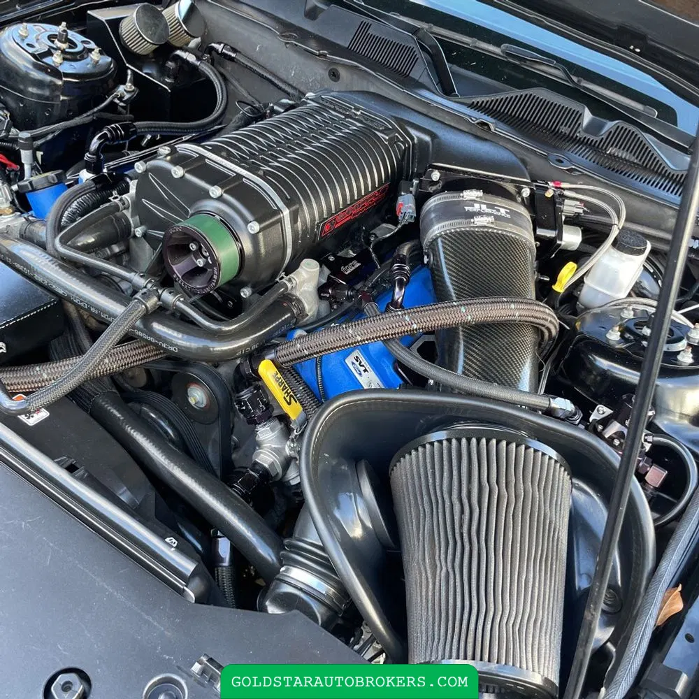 2013 Ford Shelby GT500 Base